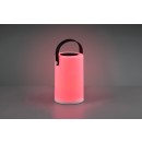 Trio R54066101 LED-Solar-Außenleuchte Garcia 15lm | 3000K | RGBW | IP44 - Batteriebetrieb, USB-Anschluss mit Ladefunktion, RGBW-Farbwechsel, Schalter am Aufbau, weiß