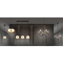 Trio 101700332 Deckenleuchte Livia 3x28W | E14 - schwarz, braun