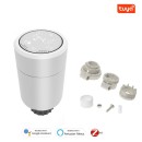 Immax NEO 07732B Set 2x Thermostatkopf Smart + NEO Bridge für V2 2xAA - ZigBee 30, weiß