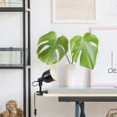 Rabalux 3092 Tischleuchte mit Clip Flint 1x25W | E14 - schwarz