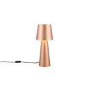 Trio T562900165 Tischlampe NUBIAN  E27