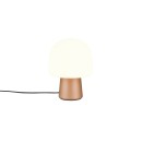 Trio T568200165 Tischlampe STEEN E14