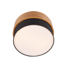 Trio 611500202 Deckeneinbauleuchte Seasons 2x40W | E14 - schwarz, Holz