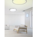 TRIO 657496007 LED Deckenleuchte Griffin 1x36W|3000-5000K|RGB