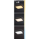 Rabalux 98071423 LED Außen-Deckenleuchte Alenzo  | 36W integrierte LED-Quelle | 2350lm | 3000+4000+6500K