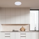 Rabalux 98071427 LED Außen-Deckenleuchte Alenzo | 24W integrierte LED-Quelle | 1600lm | 3000+4000+6500K