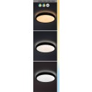 Rabalux 98071428 LED Außen-Deckenleuchte Alenzo | 24W integrierte LED-Quelle | 1530lm | 3000-6000K