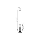 Rabalux 98072250 Pendelleuchte Nasis GU10