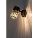 Rabalux 98073059 Spot-Wandleuchte Venaro E14