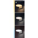Rabalux 98077118 LED Außenwandleuchte Batida | 9W integrierte LED-Quelle | 950lm | 3000+4000+6500K