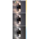 Rabalux 98077127 LED Außenwandleuchte Darvas | 12W integrierte LED-Quelle | 830lm | 2700+4000K