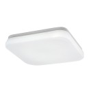 Rabalux 98077138 LED Außen-Deckenleuchte Lowar | 18W integrierte LED-Quelle | 1150lm | 4000K