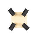 Trio 802430480 Deckenleuchte 4x35W | GU10 - Gold, Schwarz