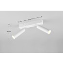 Trio T849210231 LED Spot-Deckenleuchte AMBALA  integrierte LED-Quelle | 2x500lm | 2300+3000+4000K