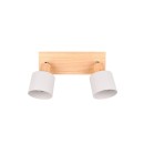 Trio T862700276 Spot-Deckenleuchte SHANTI  E14