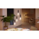 Philips Hue 8719514301504 LED Filament ST72 1x7w | E27 | 550lm | 2200-4500K - White Ambiance, dimmbar, Bluetooth