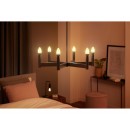 Philips Hue 8719514302211 LED Filament 2x45w | E14 | 3000lm | 2100k - Set 2 Stück, Bluetooth, dimmbar, weiß
