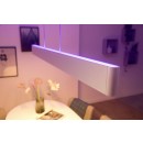 Philips Hue 8719514343467 LED Deckenleuchte Ensis 2x39 | 4750-5500lm | 2000-6500K - White and color Ambiance, dimmbar, Bluetooth, weiß