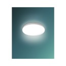 Philips 8720169296022 LED Deckenleuchte Acuna  | 21W integrierte LED-Quelle | 2500lm | 2700K