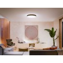 Philips Hue 41161/30 / P6 LED-Decke-Leuchte mit Deckenleuchte XL + Hue-Schalter 1x48w | 1100lm | 2200-6500K - dimmbar, Bluetooth, White Ambiance, schwarz