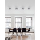 Palnas 66001517 Außendeckenleuchte Bruno 4200K | IP54