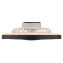 Globo 03653 LED Ventilator mit Licht BLIZZAK | 45W integrierte LED-Quelle | 2080lm | 3000-6500K