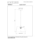 Lucide L104160144 Pendelleuchte WOOLLY  E27