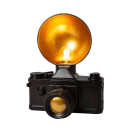 Lucide L345462130 Tischlampe EXTRAVAGANZA E14