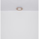Globo 41767R LED Deckenleuchte CLAY | 24W integrierte LED-Quelle | 1370lm | 2700-6500K