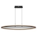 Globo DELLA 67179H1 LED Pendelleuchte | 60W LED | 2650lm