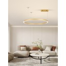 Immax NEO 07217L LED Pendelleuchte CANTO  | 60W integrierte LED-Quelle