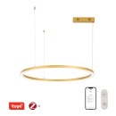 Immax NEO 07217L LED Pendelleuchte CANTO  | 60W integrierte LED-Quelle