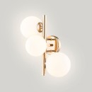 Zuma Line 003064-028104 Wandleuchte MOLECULE G9