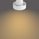 Philips 50603/31/P0 LED Deckenleuchte Bukko 3x4,3W | 2200-2700K - Funktion SceneSwitch