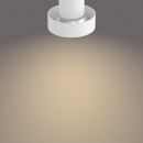 Philips 50603/31/P0 LED Deckenleuchte Bukko 3x4,3W | 2200-2700K - Funktion SceneSwitch