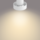 Philips 50603/31/P0 LED Deckenleuchte Bukko 3x4,3W | 2200-2700K - Funktion SceneSwitch