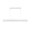 Lucide L454553631 LED Pendelleuchte RAYA  | 36W integrierte LED-Quelle | 4000lm | 2700K