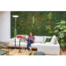 Lutec 6910802335 LED tragbare Außen Solarleuchte Poppy 1x8W | 3000K | IP54 - einzigartiges Design, Bluetooth-Lautsprecher