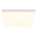 Globo 12388-24W LED Deckenleuchte MATTHEW  | 18W integrierte LED-Quelle | 1090lm | 4000K