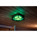 Philips Hue 17438/30/P7 Außenwandleuchte Econic 1X15W | 2200-6500K | RGB | IP44 - White and Color Ambiance