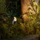 Philips Hue 17462/30/P7 LED Außen Spotleuchte Lily XL 1x15W | RGB - White and Color Ambiance