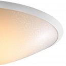 Philips Hue 31152/31/PH LED Pendelleuchte 2x9W Phoenix | 2200-6500K - White Ambiance