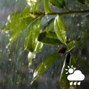 Philips Hue 8718699709839 LED Außenstreifen 2 m 1x20,5W | RGB - White and Color Ambiance + Transformator