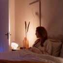 Philips Hue 8719514264489 LED Lampe Iris 4 Generation 1x8,1W | 2000-6500K - Bluetooth, White and Color Ambiance, schwarz