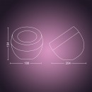 Philips Hue 8719514264489 LED Lampe Iris 4 Generation 1x8,1W | 2000-6500K - Bluetooth, White and Color Ambiance, schwarz