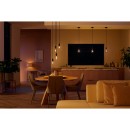 Philips Hue 8719514301542 LED Filament G125 1x7w | E27 | 550lm | 2200-4500K - White Ambiance, dimmbar, Bluetooth