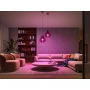Philips Hue 8719514291379 Lampen und Hue Bridge Starter Kit 2x11W| E27 | 806-1100lm | 2000-6500K | RGB - White and Color Ambiance, Bluetooth, Zigbee, Fernbedienung, weiß