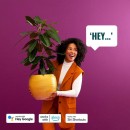 Philips 8720169071797 LED Starterset Elpas Bollard | 4,8W integrierte LED-Quelle | 320 lm | 2700-5000K