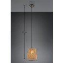 Trio R31041026 Pendelleuchte Holm | 1x10W E27
