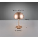 Trio TR54891165 LED Tischlampe MUNOZ | 1,3W integrierte LED-Quelle